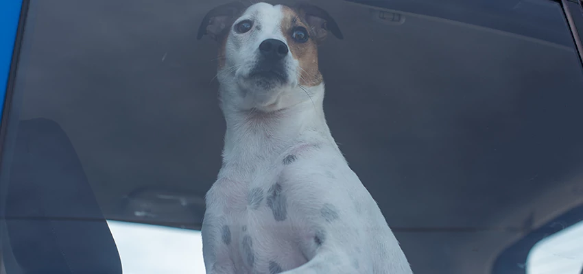 Car Lockout Solutions in Duarte, California